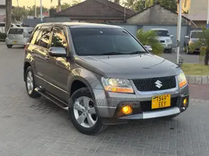 Suzuki Escudo 2007 Gray