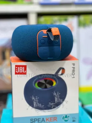 P Pro 1 Portable Wireless Speaker