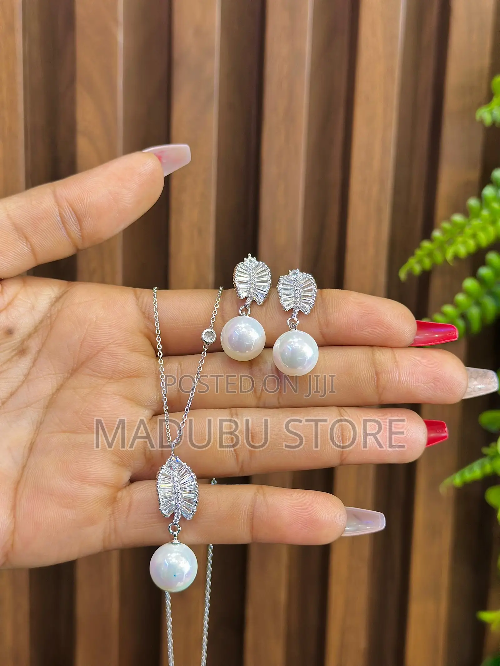 A Beautiful Set of Necklace and Earrings