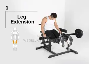 Leg Extension