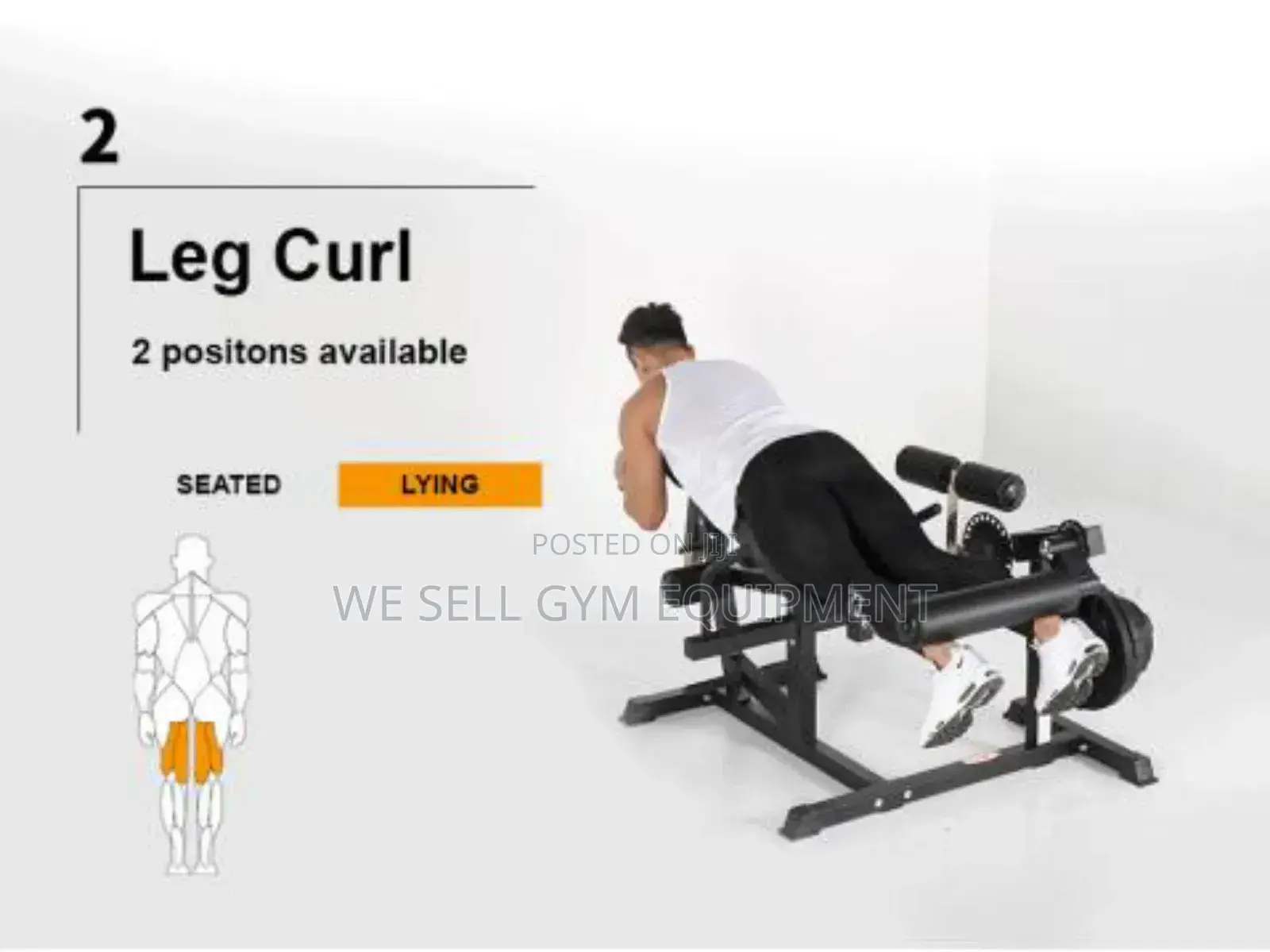 Leg Extension