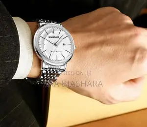 Binbond Watch Full Box Silver