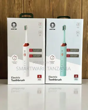 Electric Toothbrush, 5 Modes, Charging Cable, 4 Brush Heads