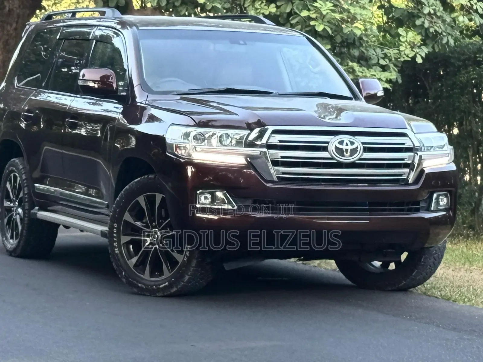 Toyota Land Cruiser 2008 Purple
