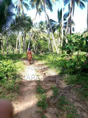 Farmland for Sale Bambi Central Zanzibar