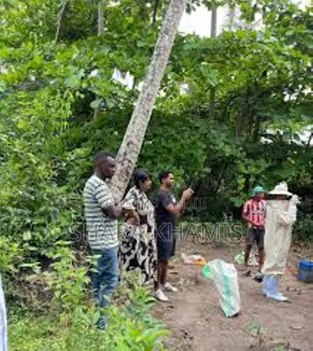 Farmland for Sale Bambi Central Zanzibar