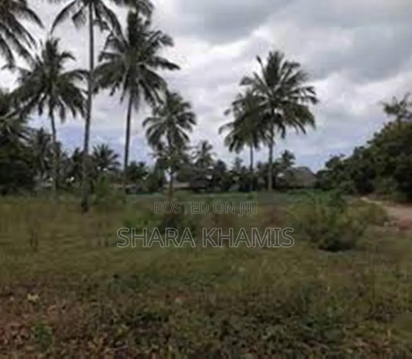 Farmland for Sale Bambi Central Zanzibar