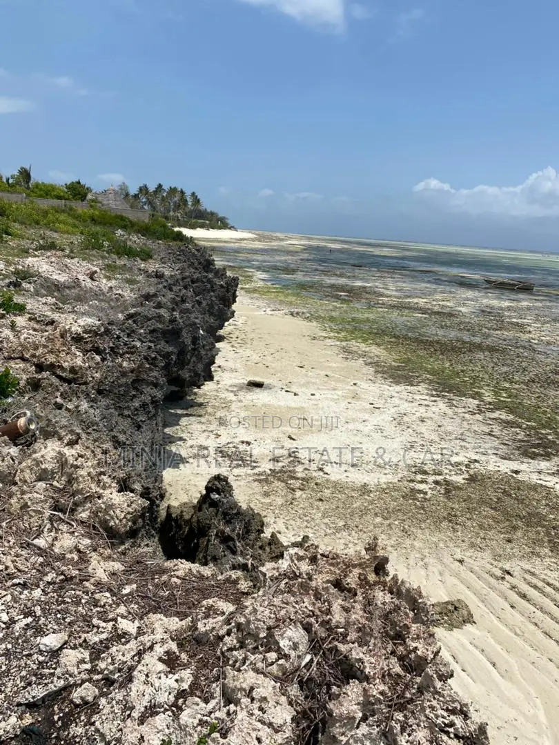 Cliff Beach Plot for Sale Makunduchi