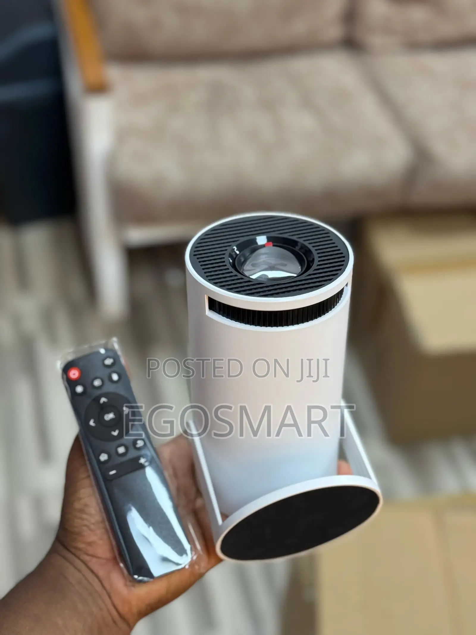 Portable Projector