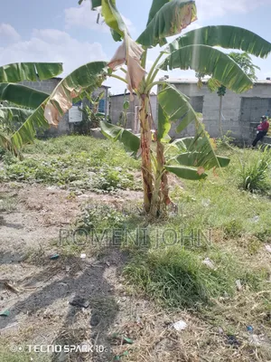 Kiwanja Sqmita 500 Kinauzwa Milioni 12.5 Majohe Viwege.