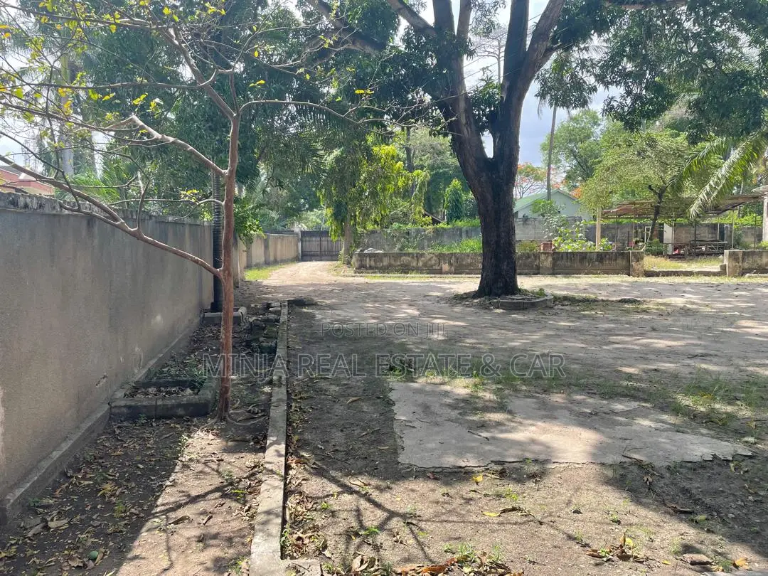 Investors Are Welcoming to Invest at This Land at Mikocheni