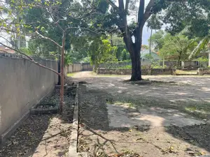 Investors Are Welcoming to Invest at This Land at Mikocheni