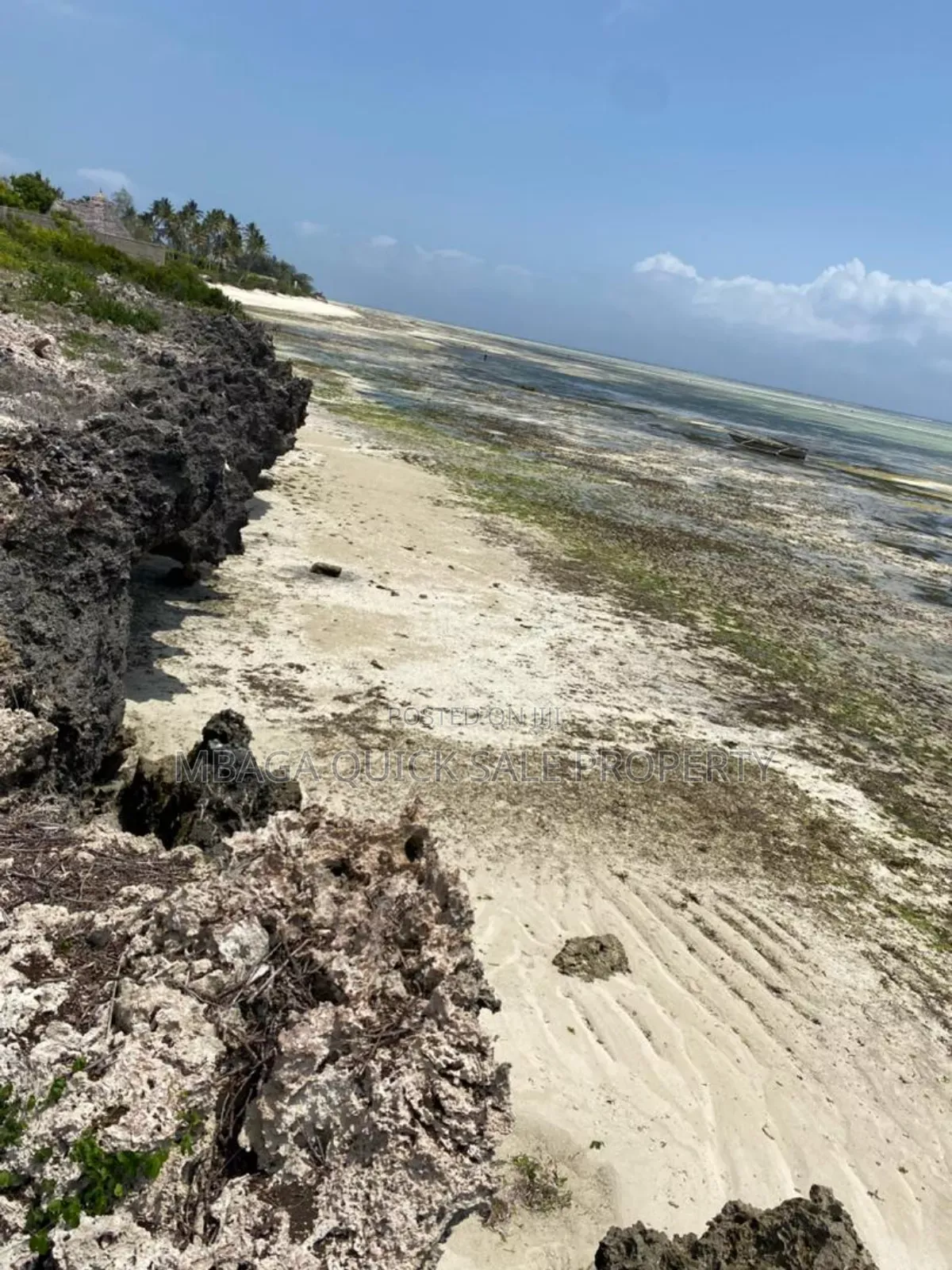 Beach Plot for Sale at Zanzibar