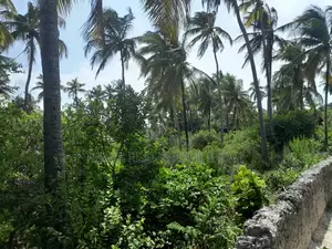 White Sand Beach Plot for Sale at Paje Bwejuu Zanzibar