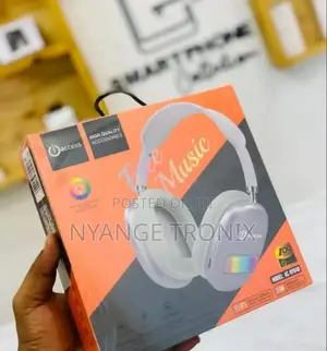 Access Headphones
