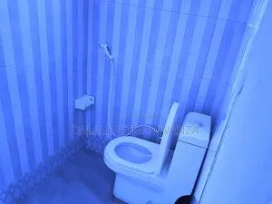 2bdrm House in Buswelu, Ilemela for rent