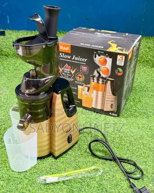 Electric Slow Juicer