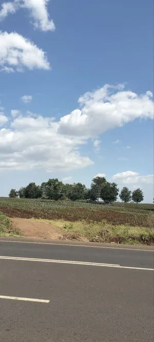 Shamba Hekari 2 Zuri Limeshika Barabara Ya Arusha Bypass Kiserian