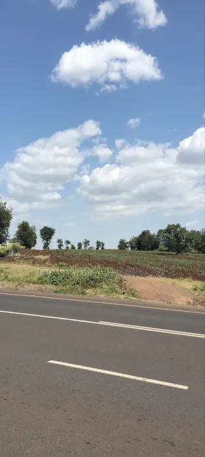 Shamba Hekari 2 Zuri Limeshika Barabara Ya Arusha Bypass Kiserian
