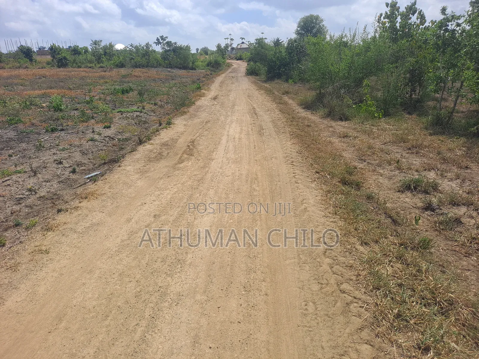 Shamba Linauzwa Kiwangwa Heka 10