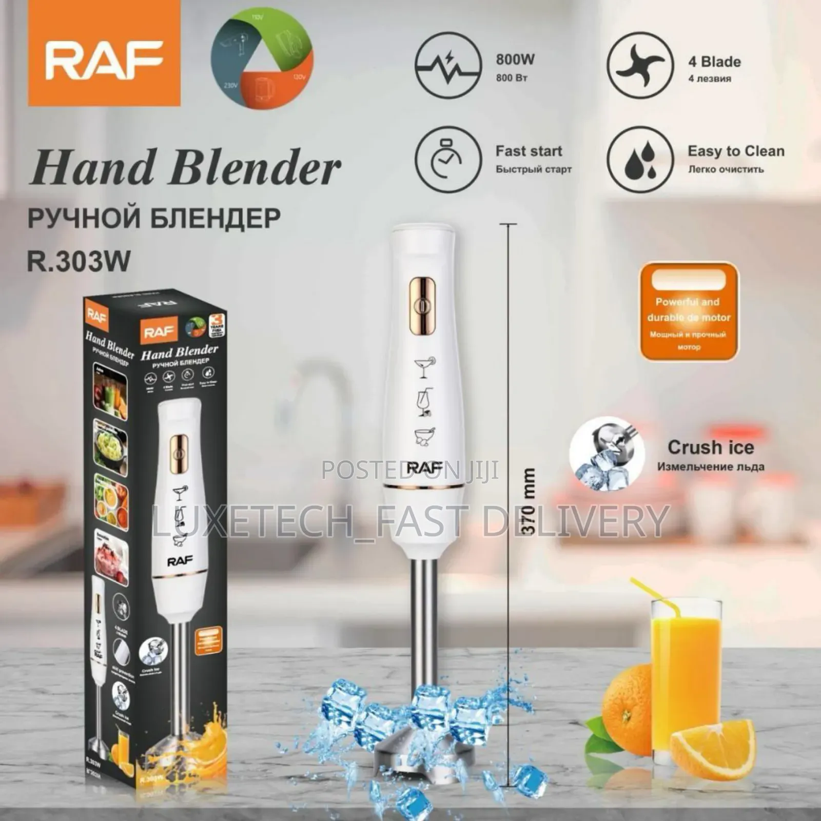 RAF Stainless Steel Hand-Held Smoothie Electric Blender