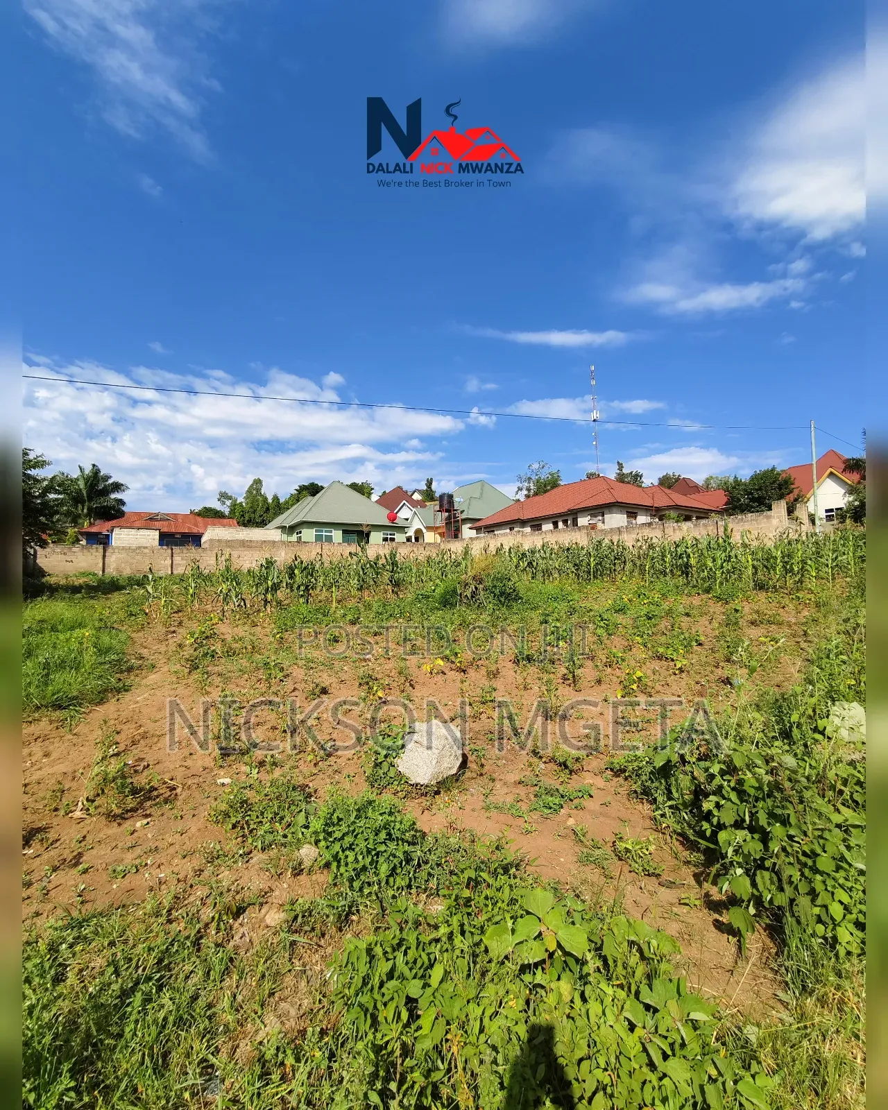 Plot for Sale