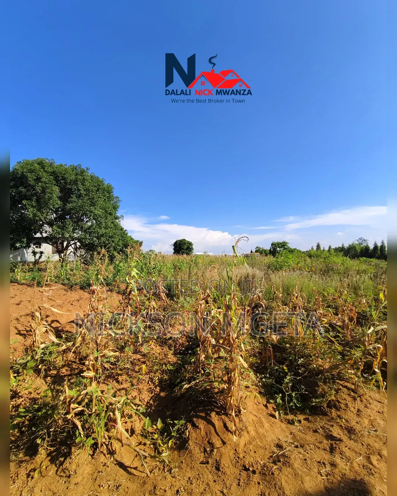 Plot for Sale