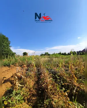 Plot for Sale