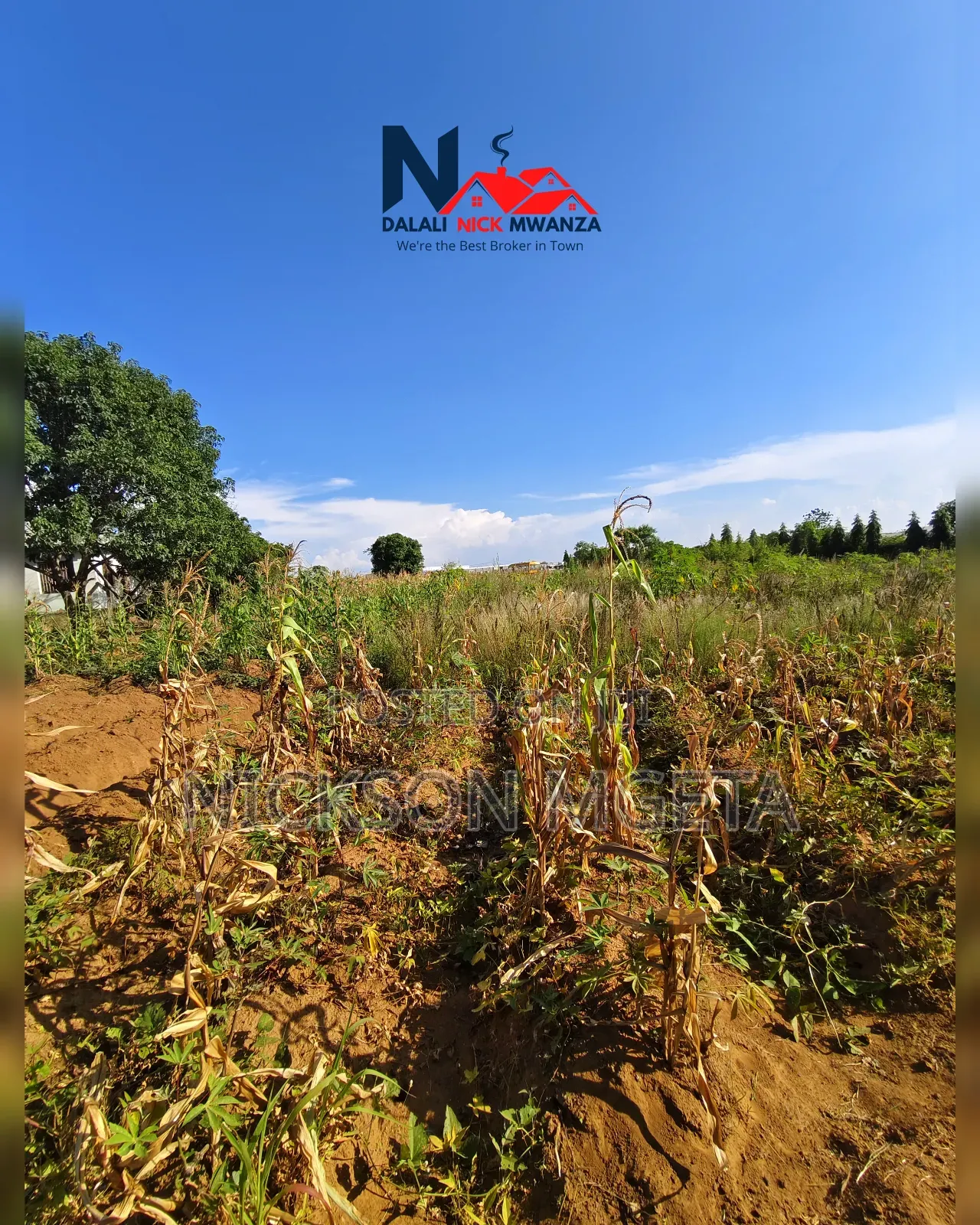 Plot for Sale