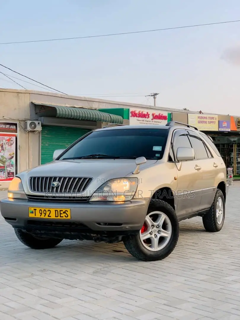 Toyota Harrier 2004 Silver