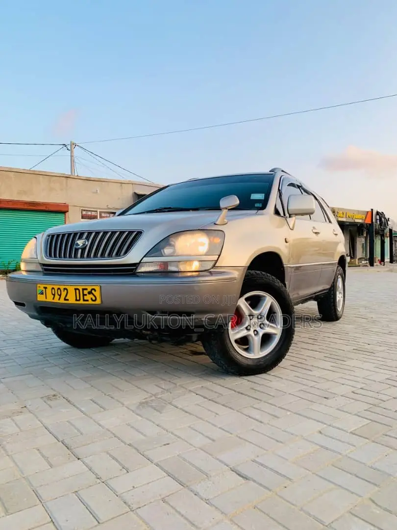 Toyota Harrier 2004 Silver