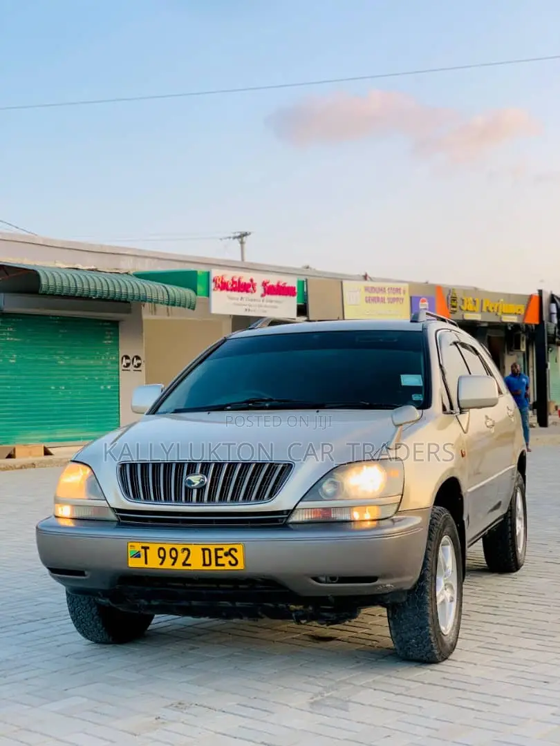 Toyota Harrier 2004 Silver