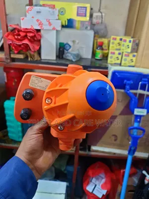 Pedrollo Pump Controller Original