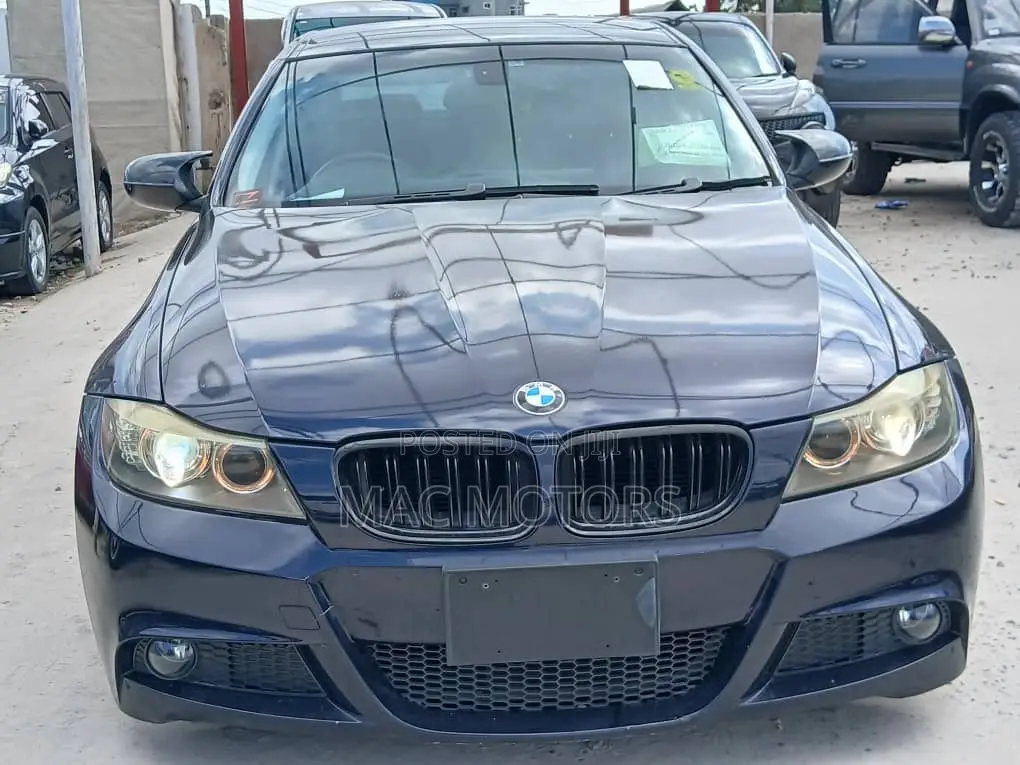 BMW 3 Series 320i RWD 2010 Blue