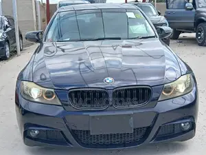 BMW 3 Series 320i RWD 2010 Blue