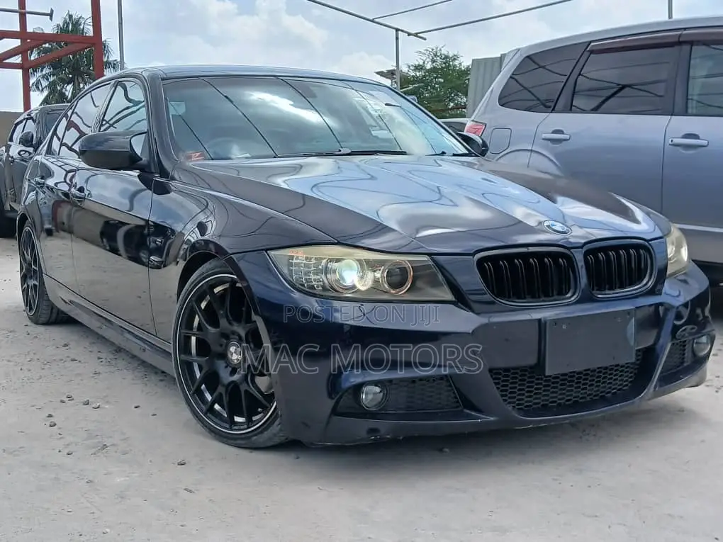 BMW 3 Series 320i RWD 2010 Blue