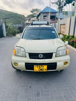 Nissan X-Trail 2005 Gray