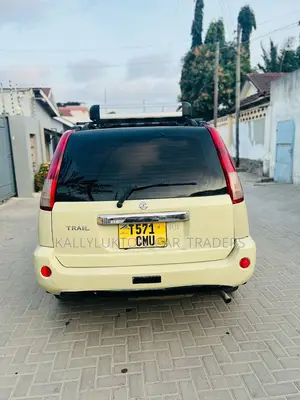 Nissan X-Trail 2005 Gray