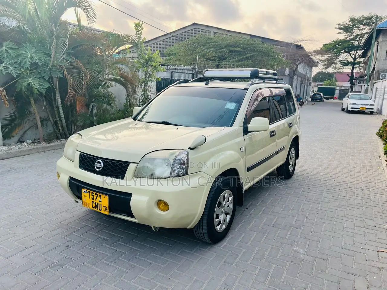 Nissan X-Trail 2005 Gray