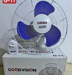 Fan Goodvission