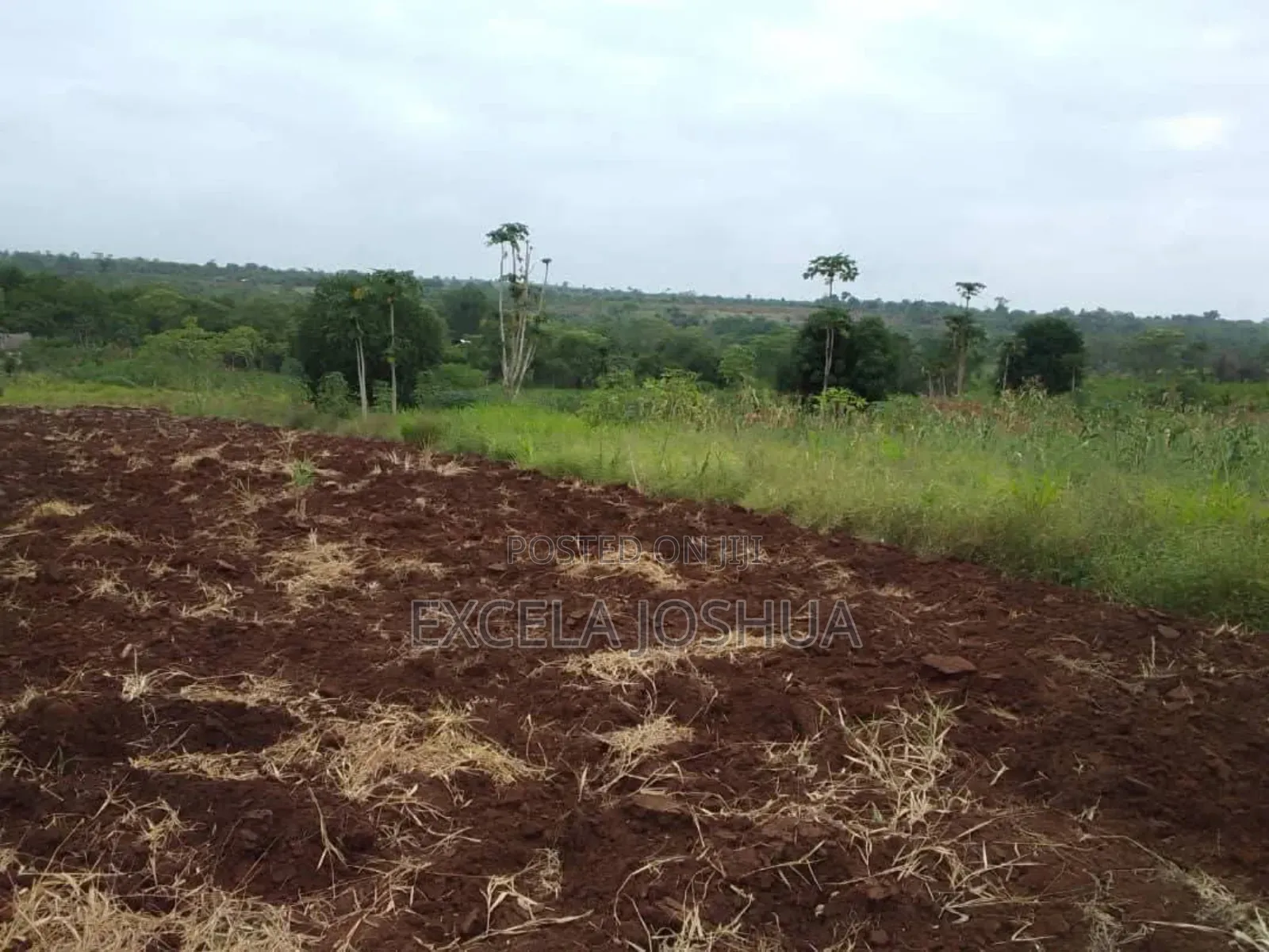 Shamba Ekari 20 Linauzwa Mbwewe Bagamoyo
