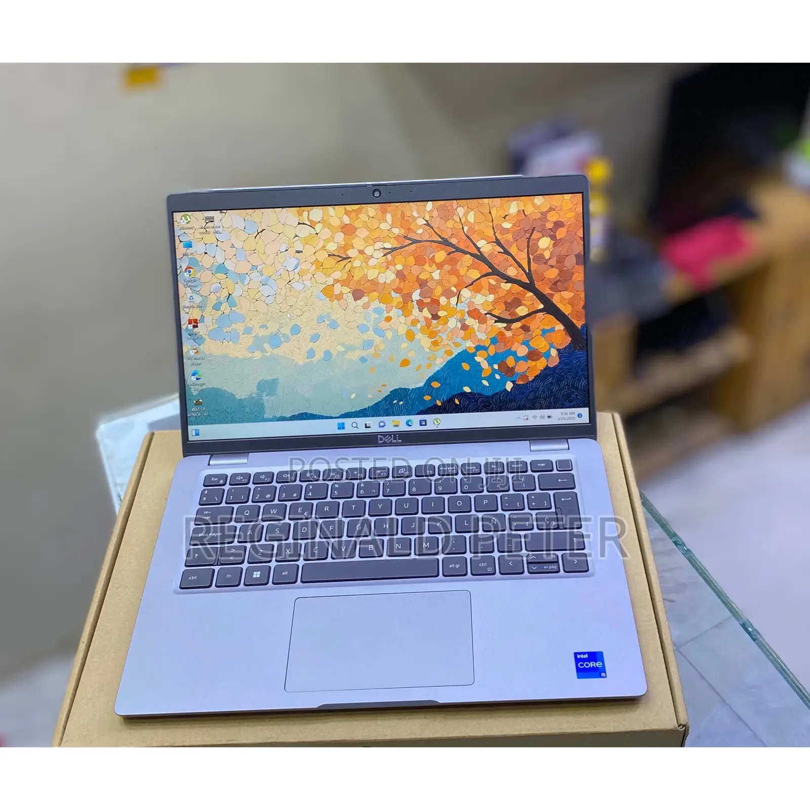Laptop Dell Precision 3580 16GB Intel Core I5 SSD 256GB
