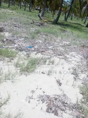 Beach Plot for Sale Kilwa Masoko