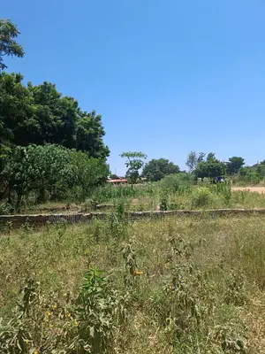 Plot for Sale Nane Nane Morogoro