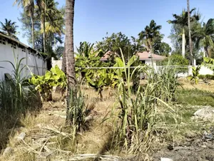 4bdrm House in Regent Estate, Mikocheni for rent