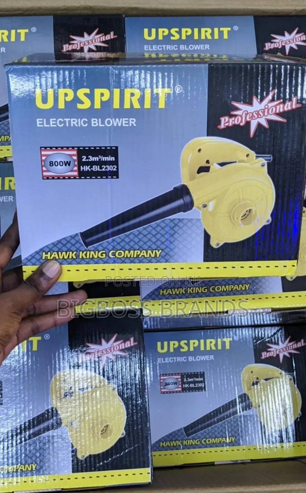 Electric Blower 800 Watts