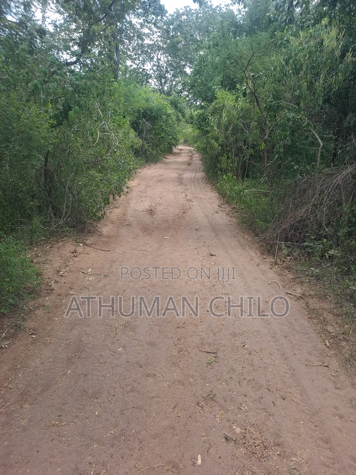 Eneo Linauzwa Mbwewe Bei Sh 300000 Kwa Heka Moja