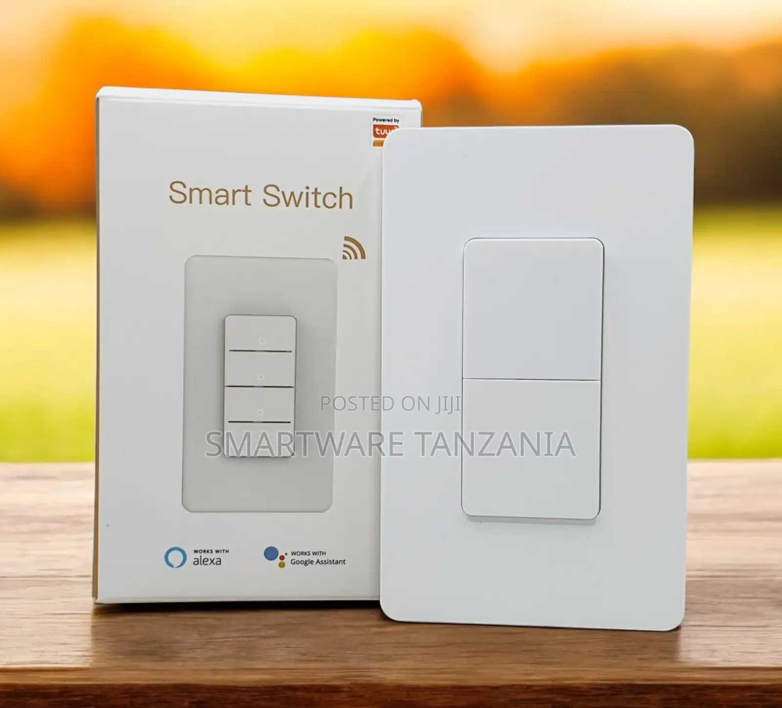 Smart Switch, No Neutral Wire With Alexa Google Assistant