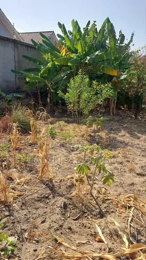 Plot Mbez Upande Wa Bahari