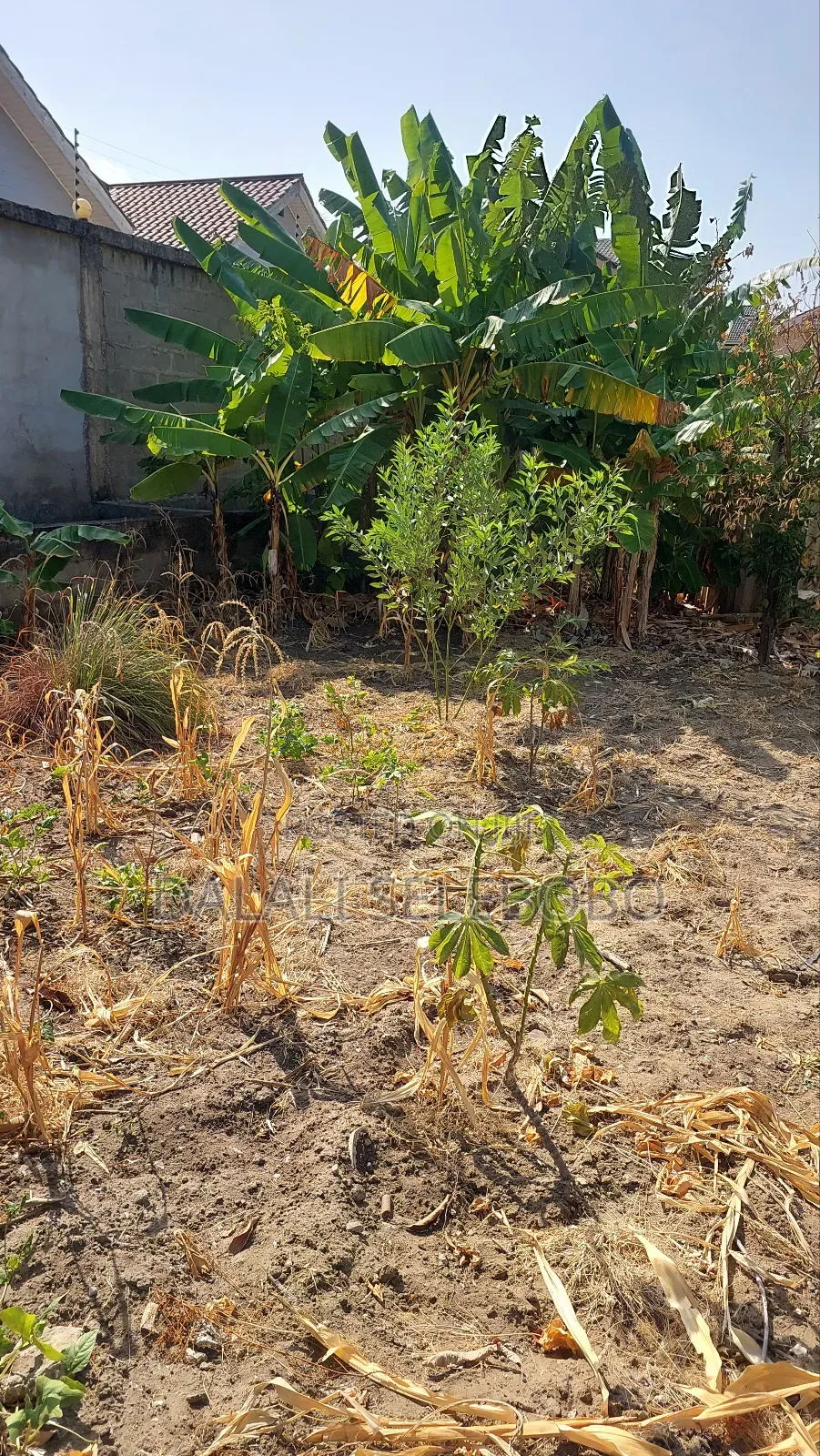 Plot Mbez Upande Wa Bahari